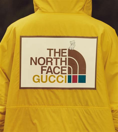 the north face and gucci collab|Gucci north face shop.